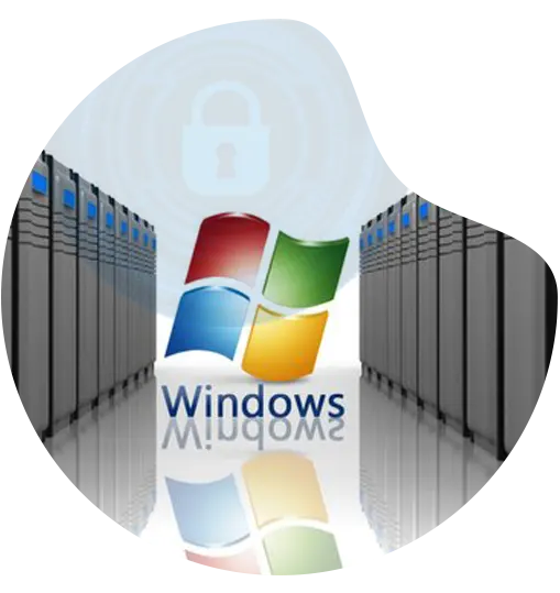 Get Much More than Dedicated Server Hosting Windows
