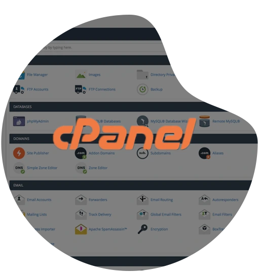 cPanel Web Hosting 
