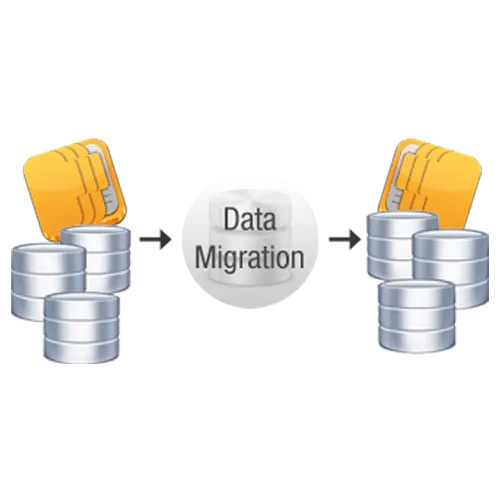 Data Migration services