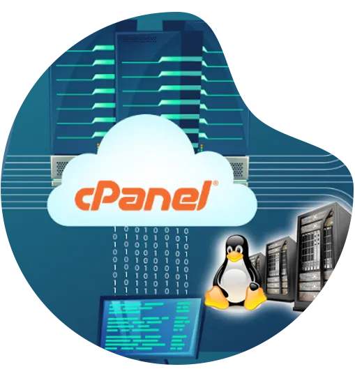 cPanel Web Hosting 