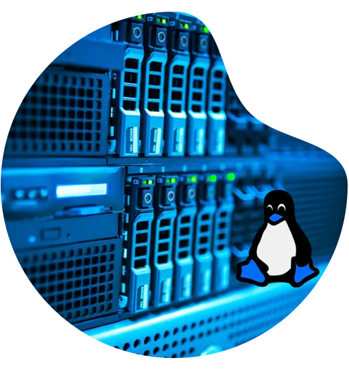 best linux dedicated server