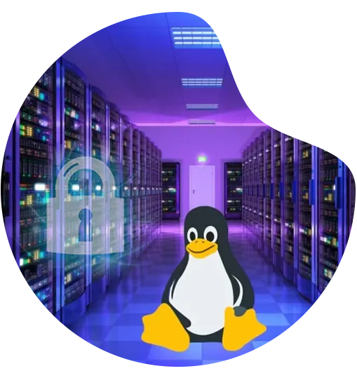 linux dedicated server hosting in india