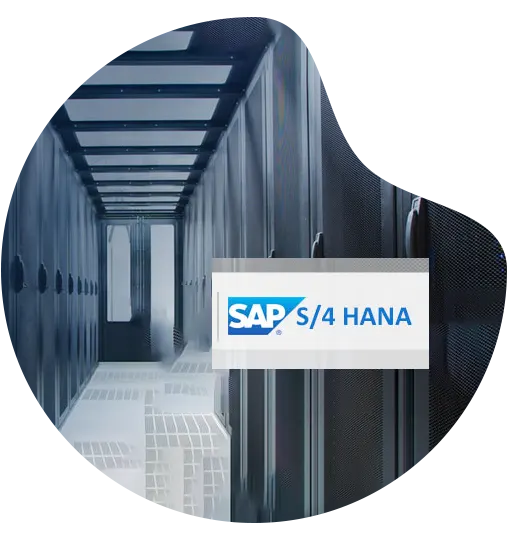 SAP cloud hosting