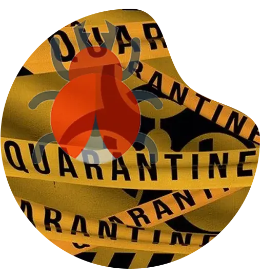 anti spam email software