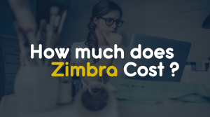 how much does zimbra cost