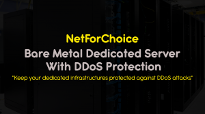 bare metal dedicated server with DDoS Protection