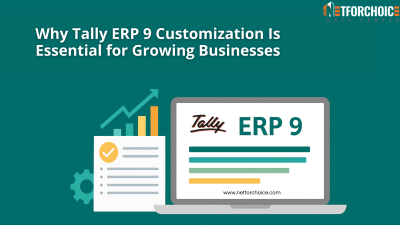 tally erp 9 customization