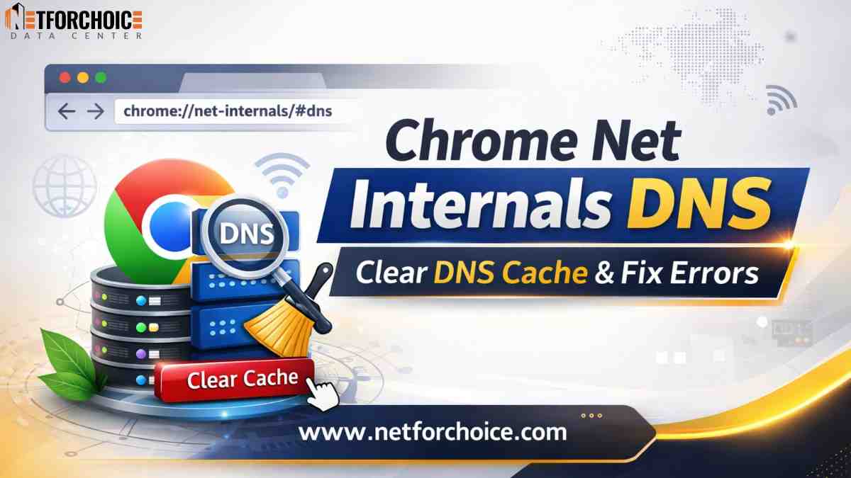 chrome net internals dns