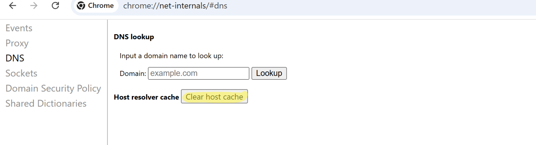 DNS Cache